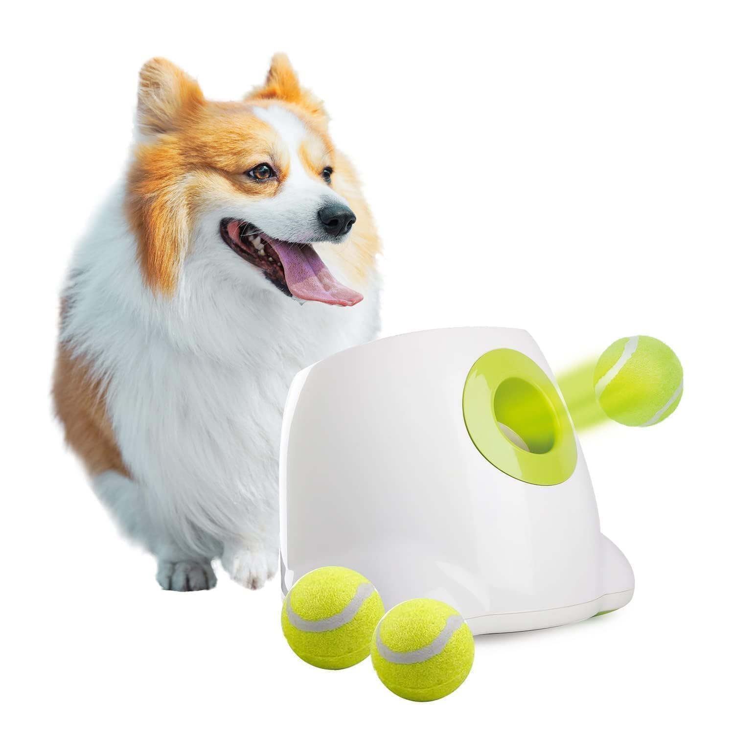 ALL FOR PAWS Automatic Dog Ball Launcher — 3 Balls